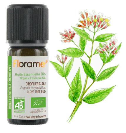 Óleo Essencial Cravinho Bio 10ml - Oeste Farma