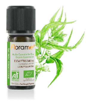 Óleo Essencial Eucalipto Smithii Bio 10ml - Oeste Farma