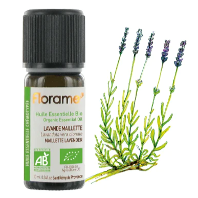 Óleo Essencial Lavanda Maillette Bio 10ml - Oeste Farma