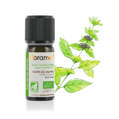 Óleo Essencial Menta Bio 10ml - Oeste Farma