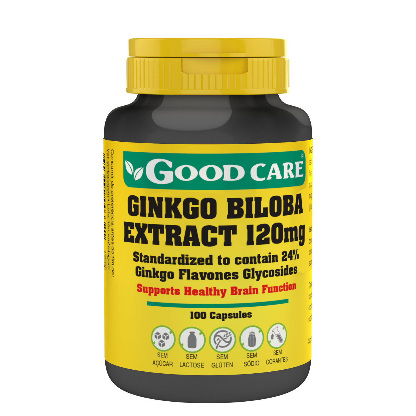 GINGKO BILOBA EXTRACT 120 mg - 100 caps. - Oeste Farma