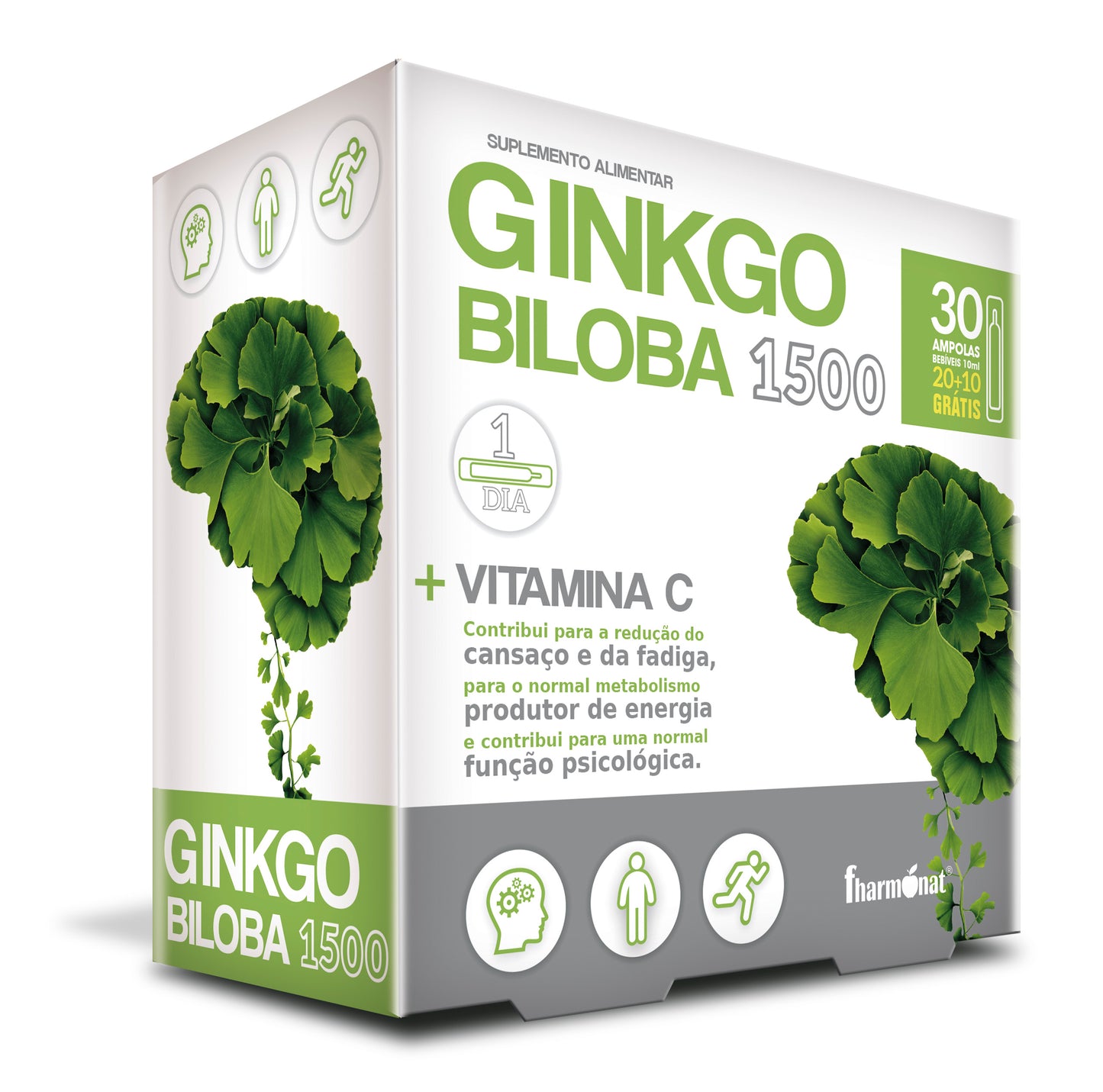 Ginko Biloba