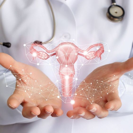 Saúde Feminina - Oeste Farma